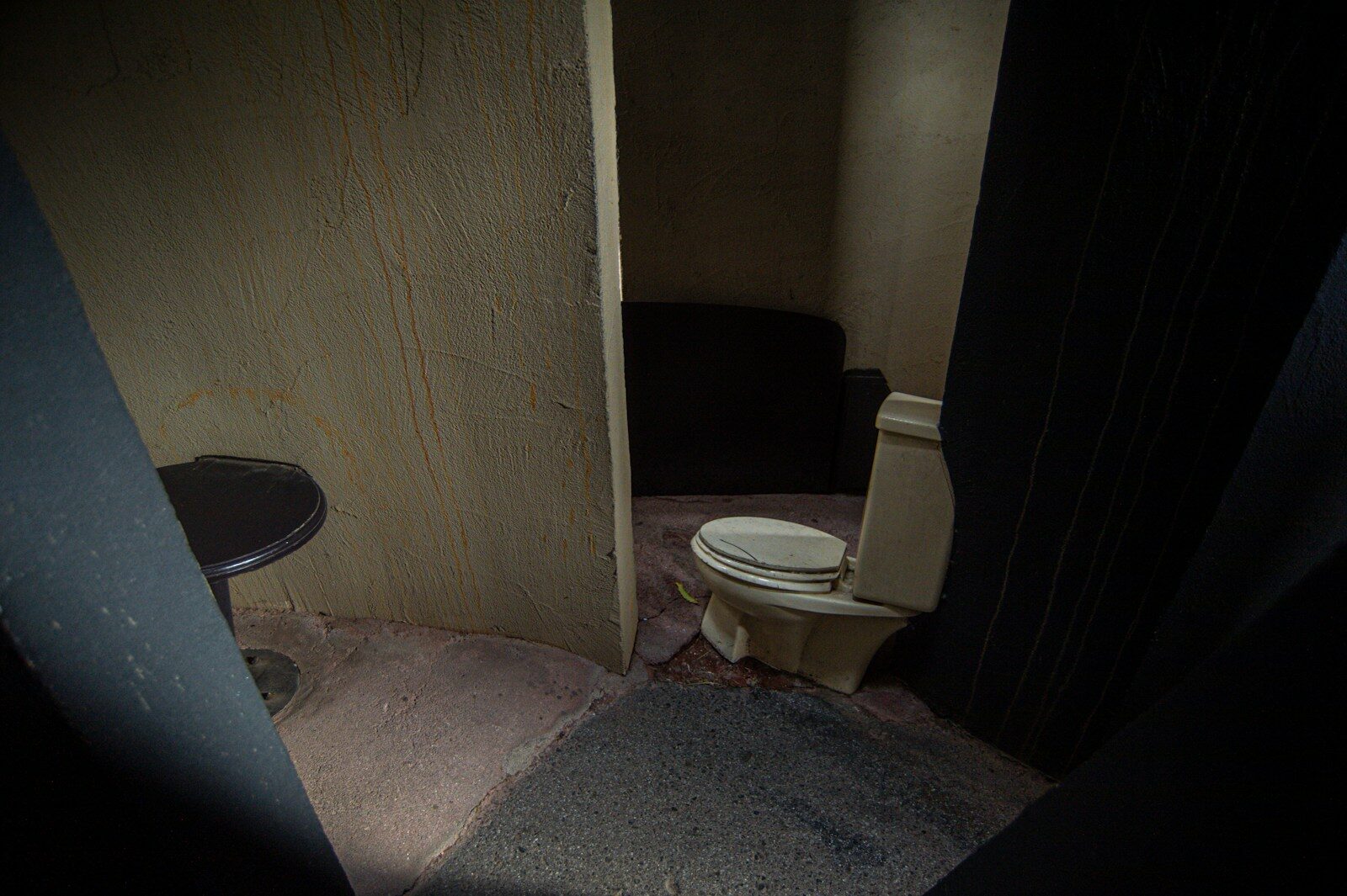 Toilet and sofa in a dimly lit room.
